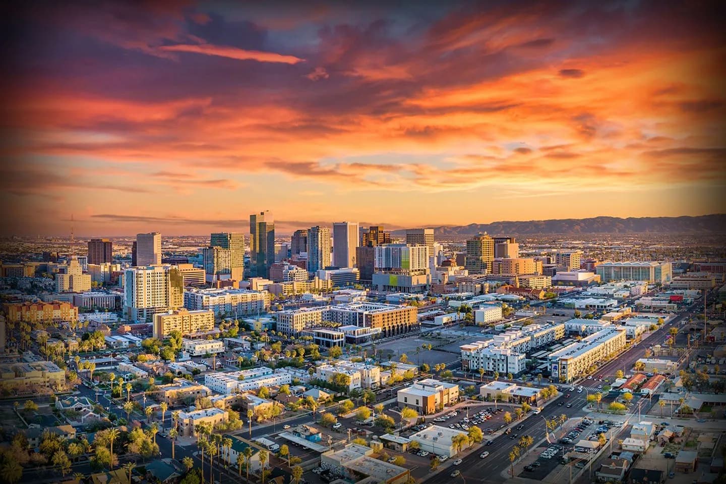 Artboard 1 Artboard 1