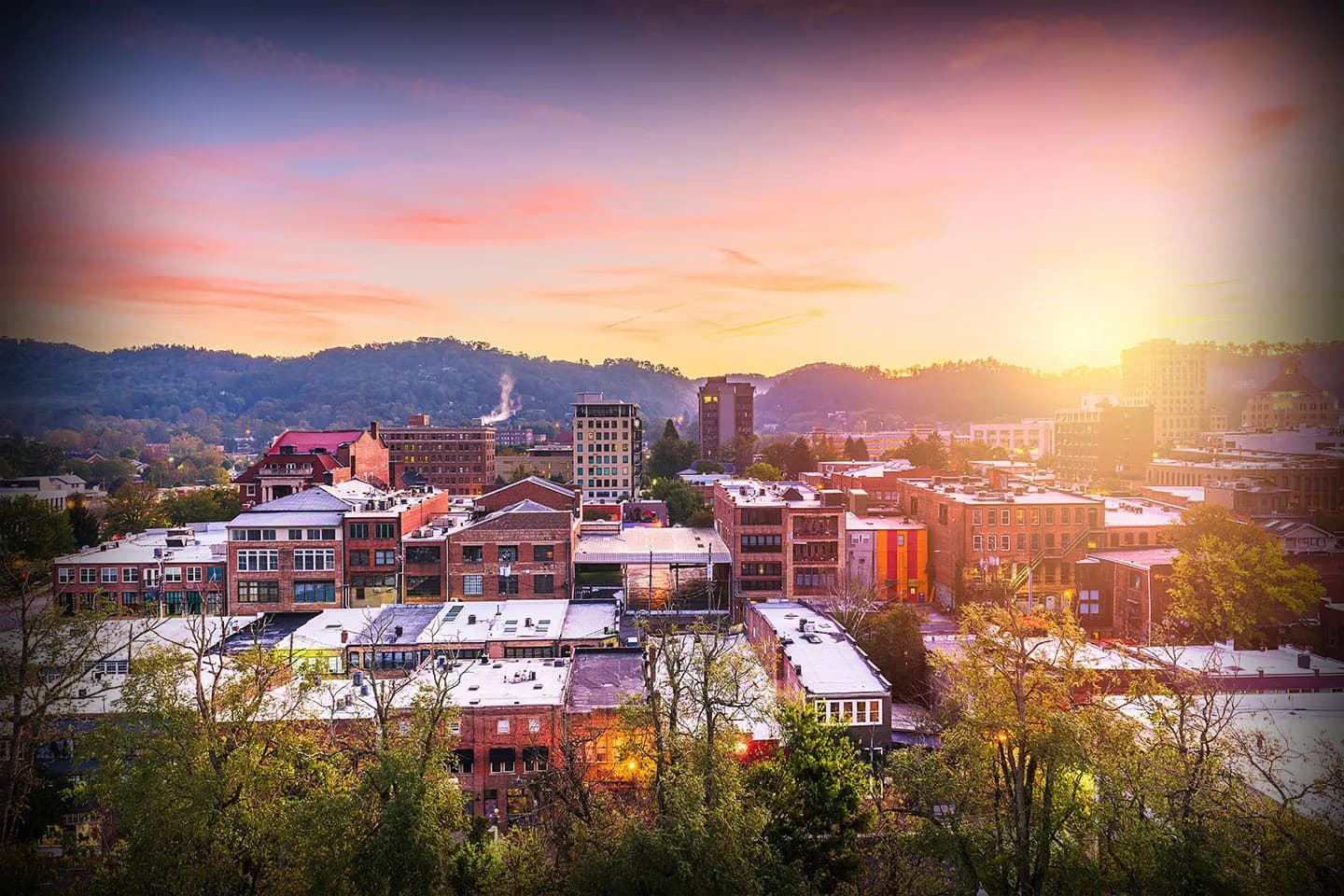 Artboard 1 Artboard 1