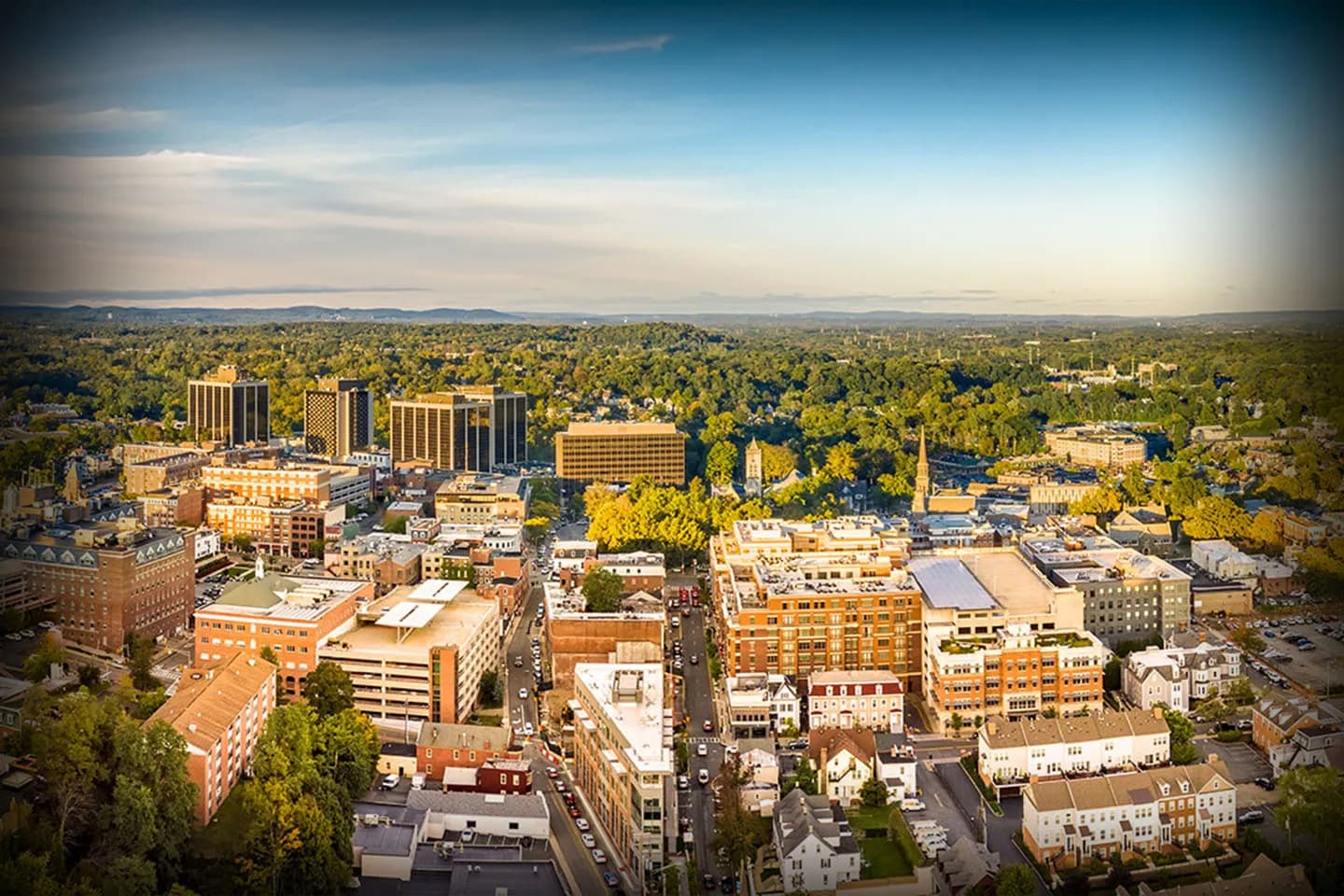 Artboard 1 Artboard 1