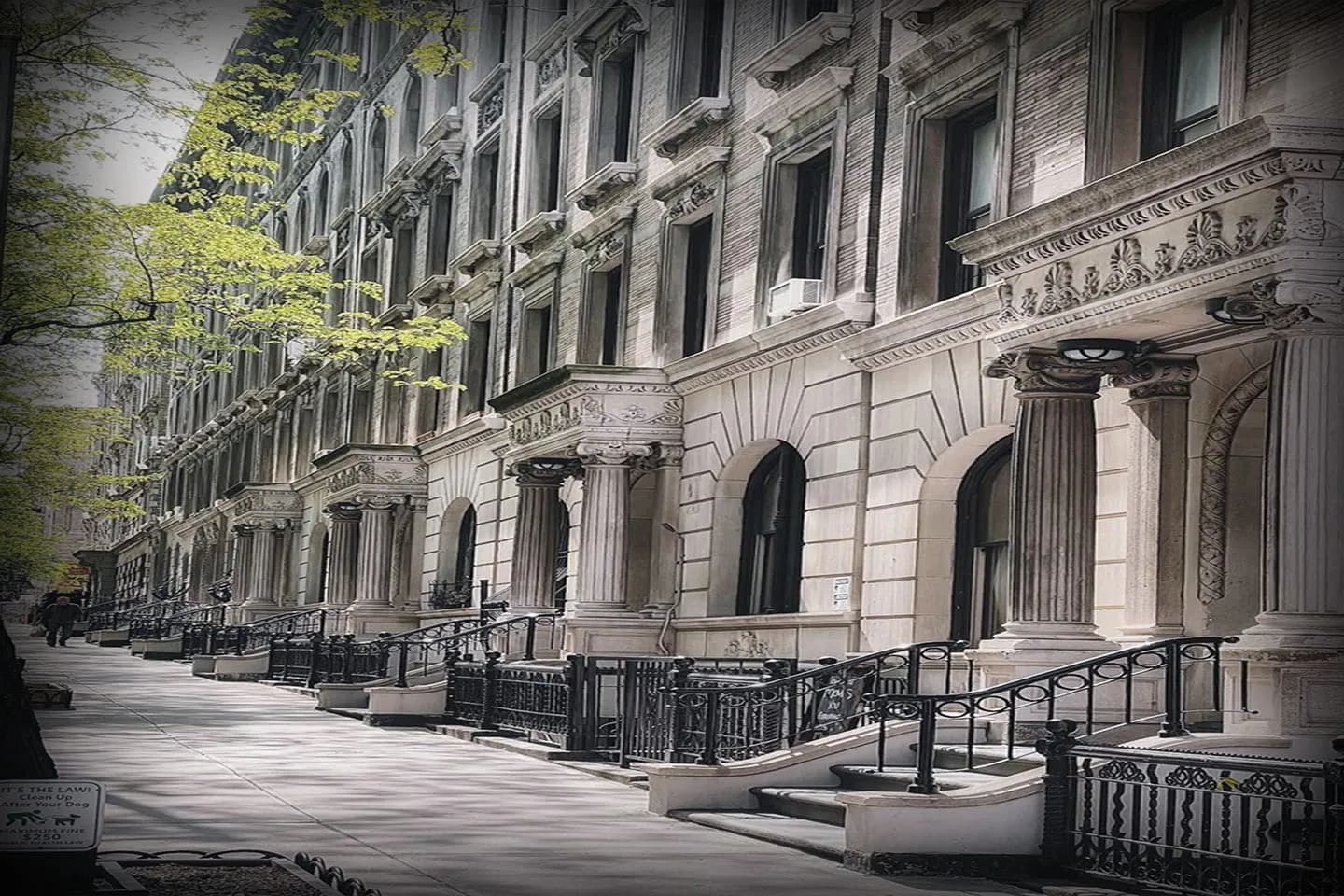 Artboard 1 Artboard 1