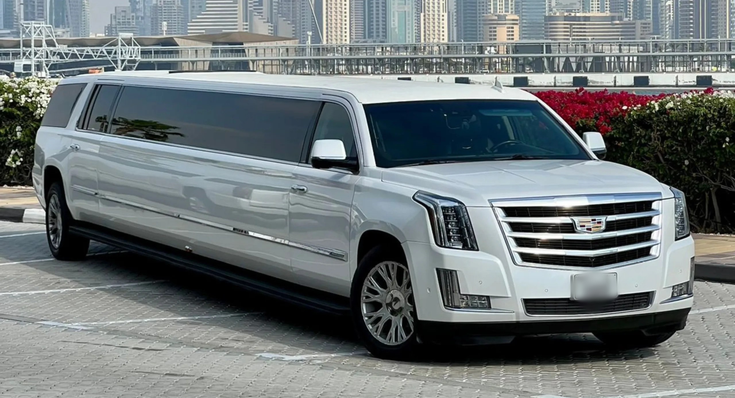 Great Neck Limo Service